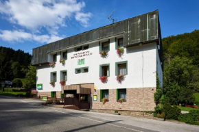 Отель Pension & restaurace Zelený Mlýn  Жацлерж